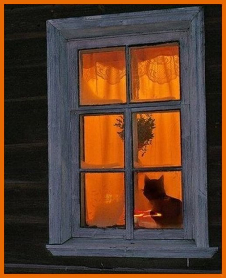 Свет в окне.